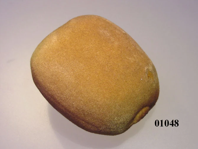 Produkt - Kiwi