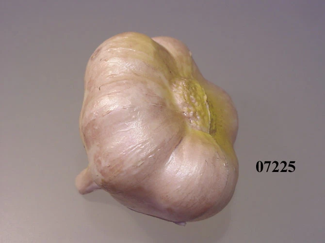 Produkt - Knoblauch