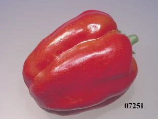 Paprika rot