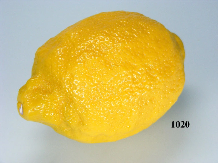 Produkt - Zitrone Lebensmittelattrappe