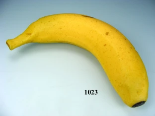 Lebensmittelattrappe Banane