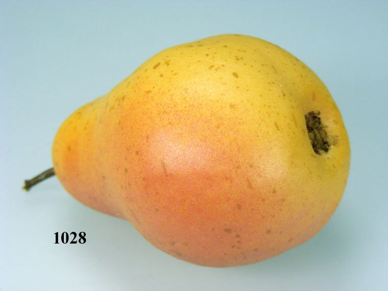 Produkt - Birne Luise rot Lebensmittelattrappe