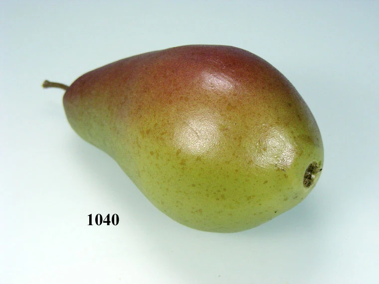Produkt - Alexanderbirne grün