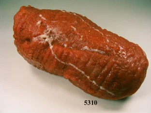 Lebensmittelattrappe Rinder-Rollbraten