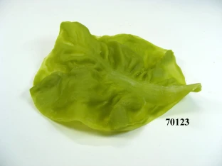 Salatblatt einzeln, klein