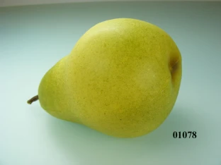 Birne grün mittelgroß