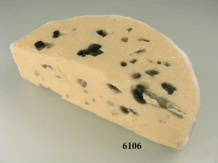 Schimmelkäse Stück