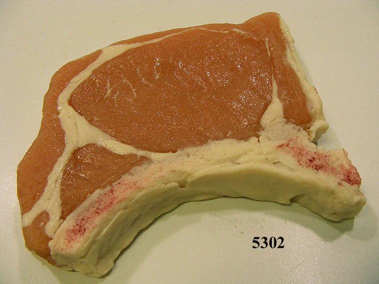 Produkt - Lebensmittelattrappe Schweine-Kotelett frisch