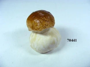 Steinpilz Gr.1