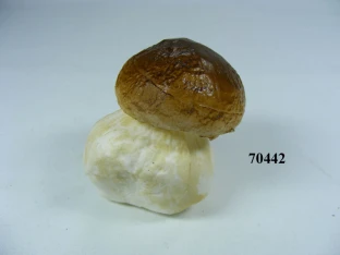 Steinpilz Gr.2