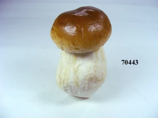 Steinpilz Gr.3