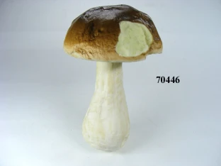 Steinpilz Gr.6