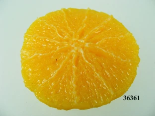 Orangenscheibe