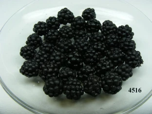 Brombeere klein (36 St.) Lebensmittelattrappe