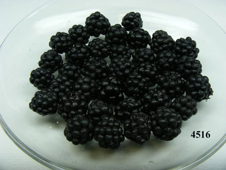 Produkt - Brombeere klein (36 St.) Lebensmittelattrappe