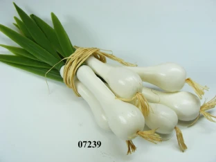 Frühlingszwiebel-Bund