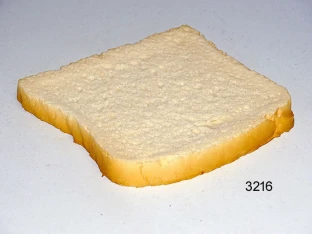 Toast-Scheibe