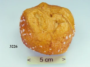 Laugen-Semmel