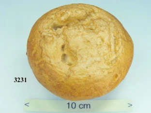 Rosen-Semmel