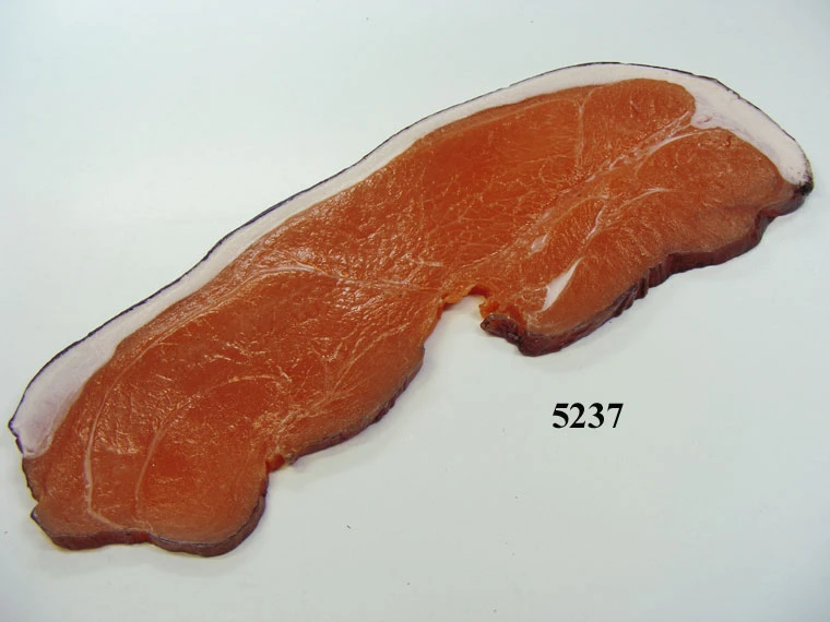 Produkt - Lebensmittelattrappe Schwarzwälder-Schinken-Scheibe