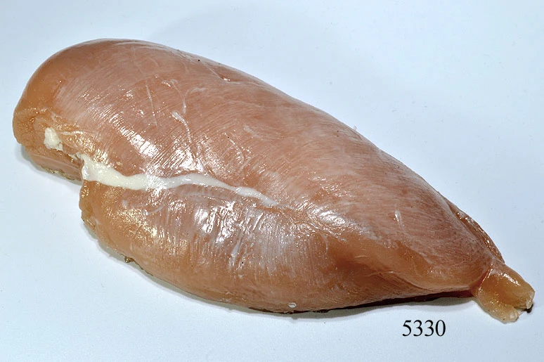 Produkt - Putenfilet Lebensmittelattrappe