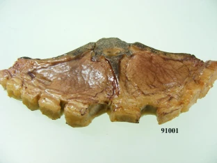 Lammkotelett gebraten