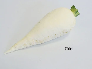 Bierrettich