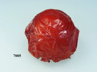 Grill-Tomate