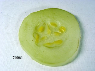 Gurkenscheibe o. Schale