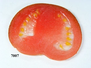 Tomatenscheibe