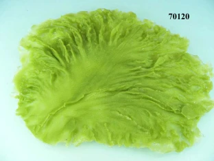 Salatblatt frisee