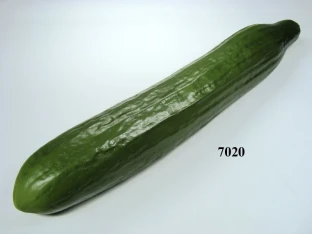 Gurke (Schlangengurke)