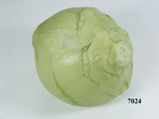 Kohlrabi weiß