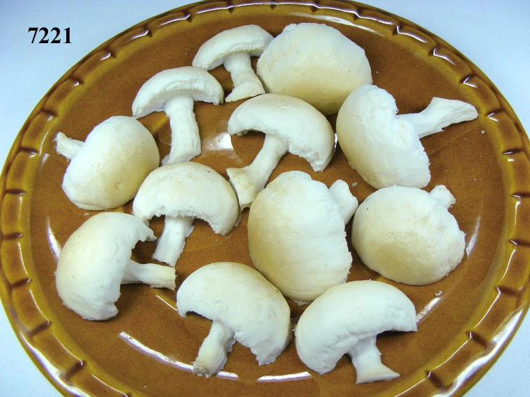 Produkt - Champignon 1/2 Stücke
