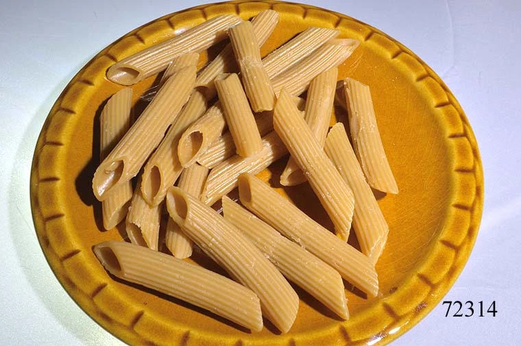 Produkt - Penne Vollkorn (100 g) einzeln