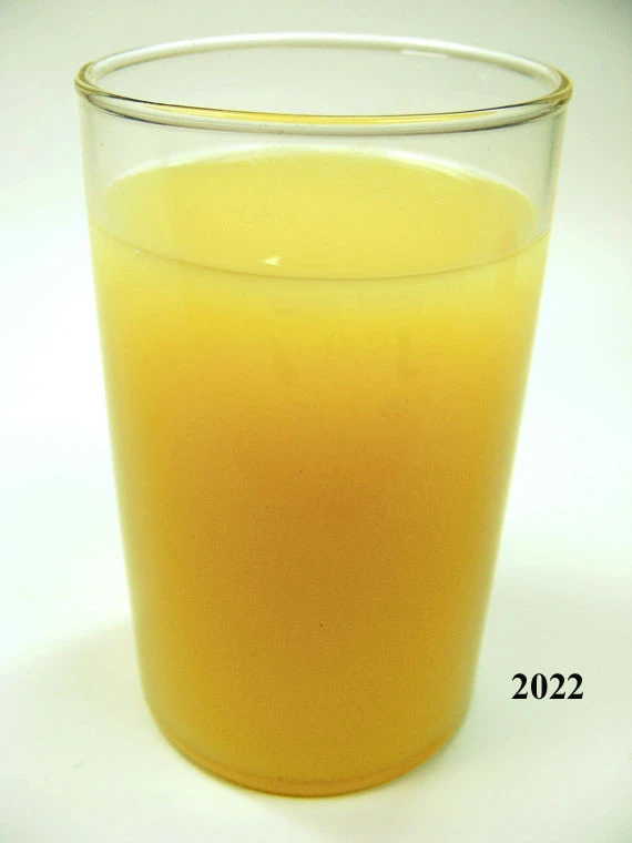 Produkt - Orangensaft (echtes Glas)