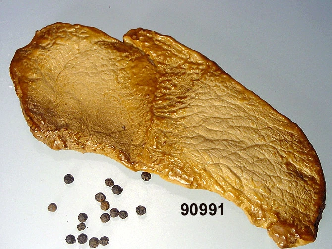 Produkt - Schweine-Schnitzel natur