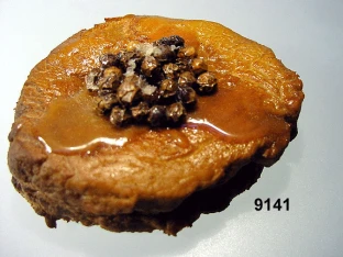Hüftmedallion mit Pfeffer (wie Abbildung)