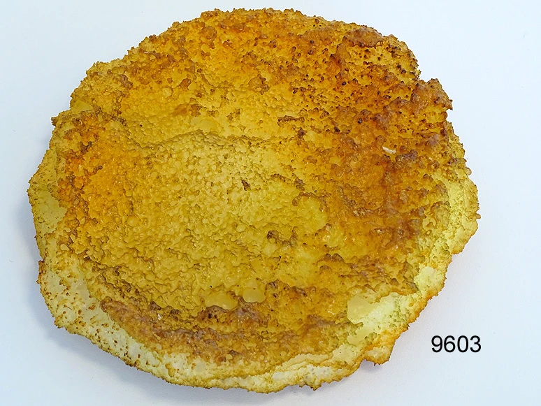 Produkt - Sellerie-Schnitzel Lebensmittelattrappe