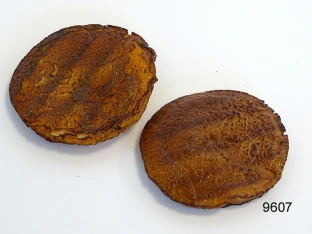Gegrillte Portobello-Pilze (2 St.) Lebensmittelattrappe