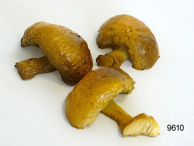 Produkt - gebratene Pilze (3 St.) Lebensmittelattrappen
